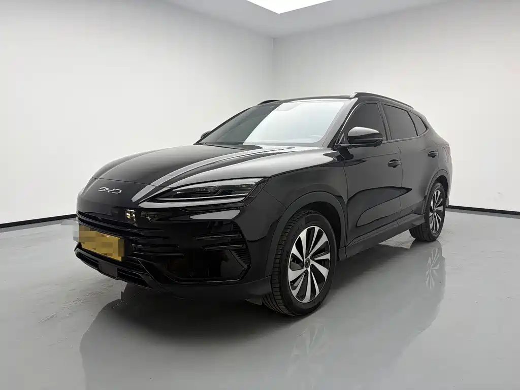 BYD PLUS New Energy 2024