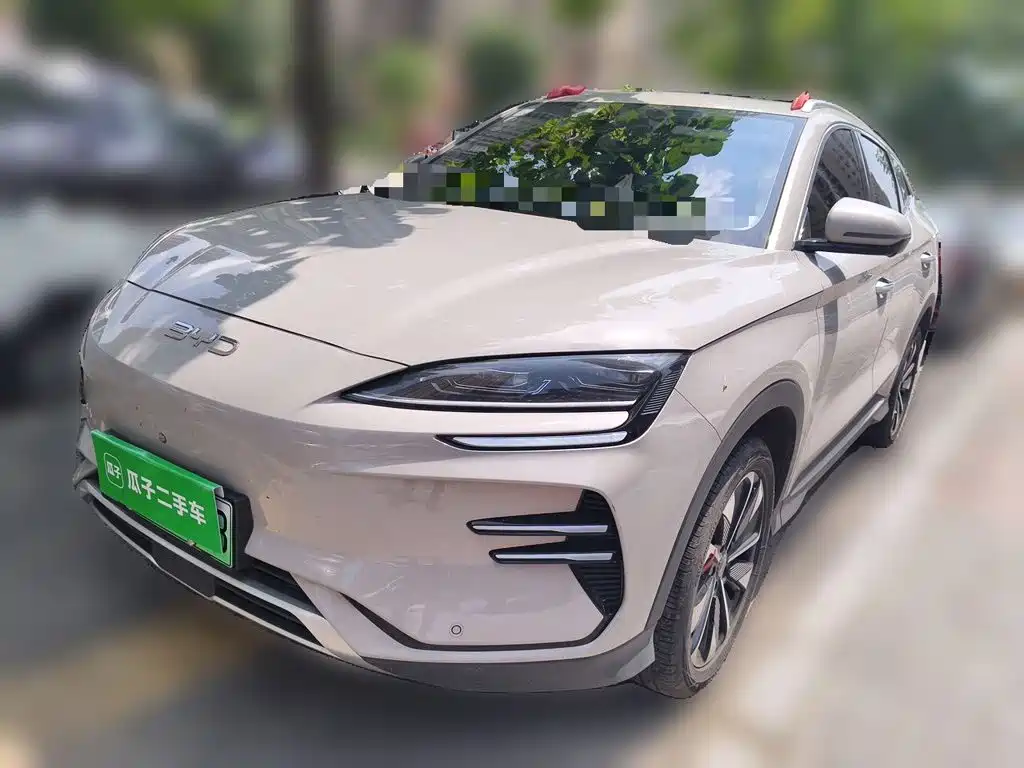 BYD PLUS New Energy 2024