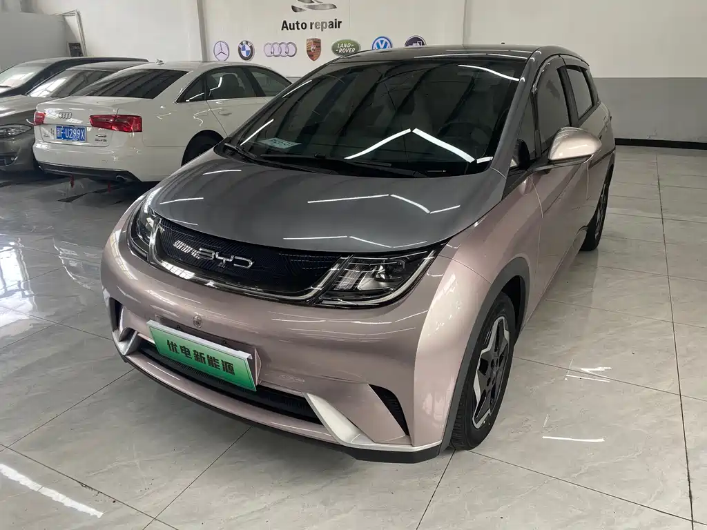 BYD Dolphin 2022