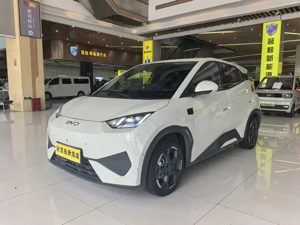 BYD Seagull 2025