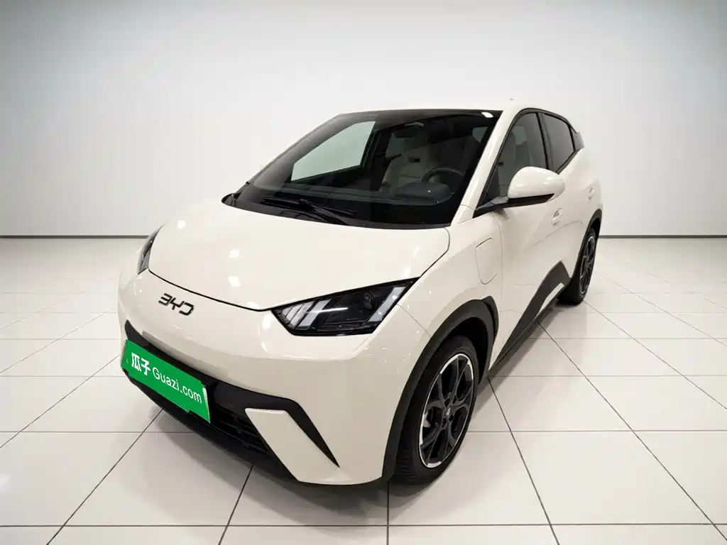 BYD Seagull 2024