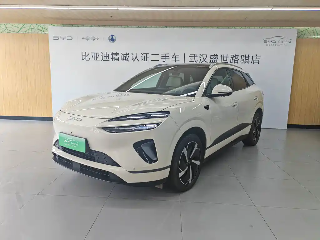 BYD 海狮06 2025