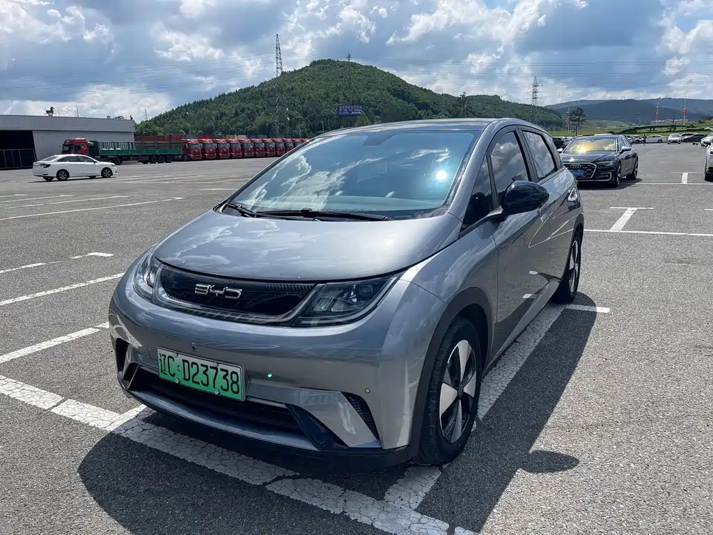 BYD Dolphin 2024
