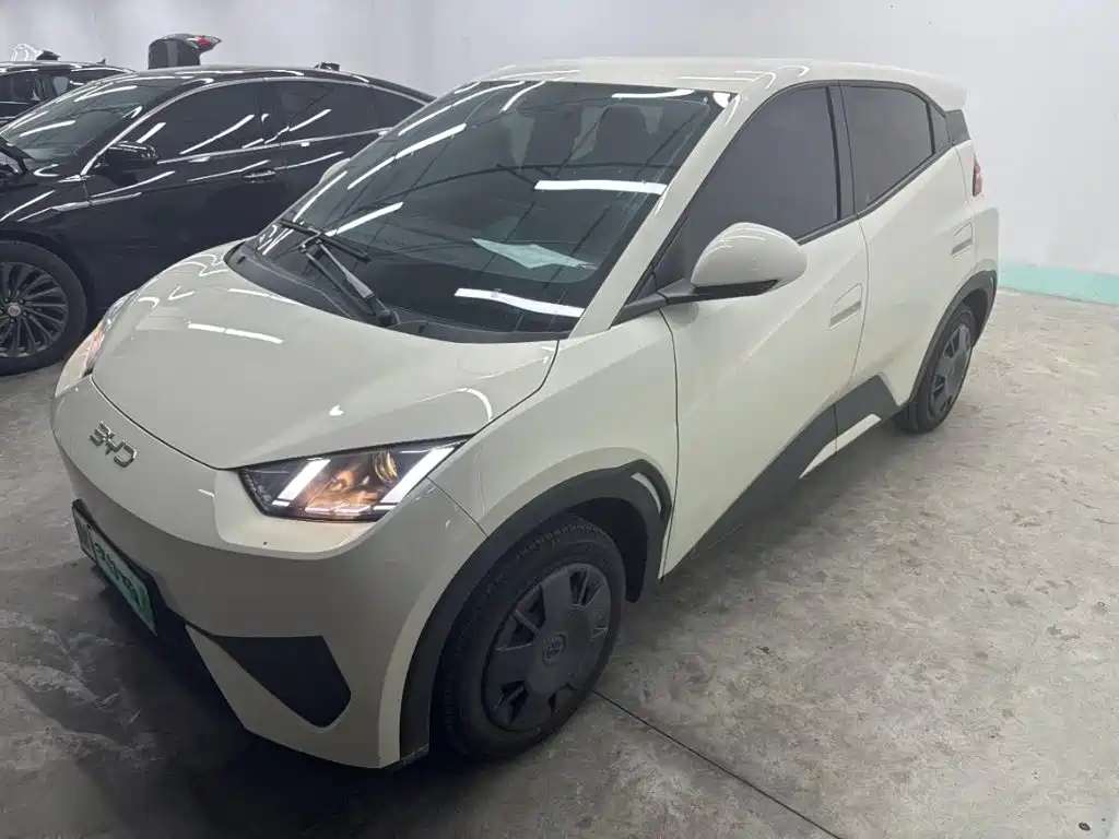 BYD Seagull 2025