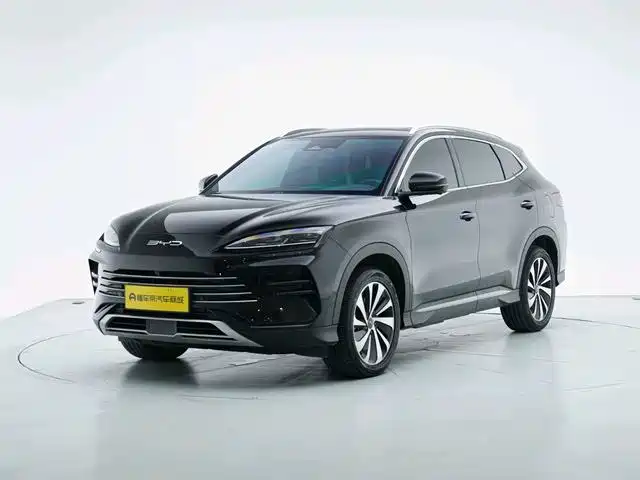 BYD PLUS New Energy 2024