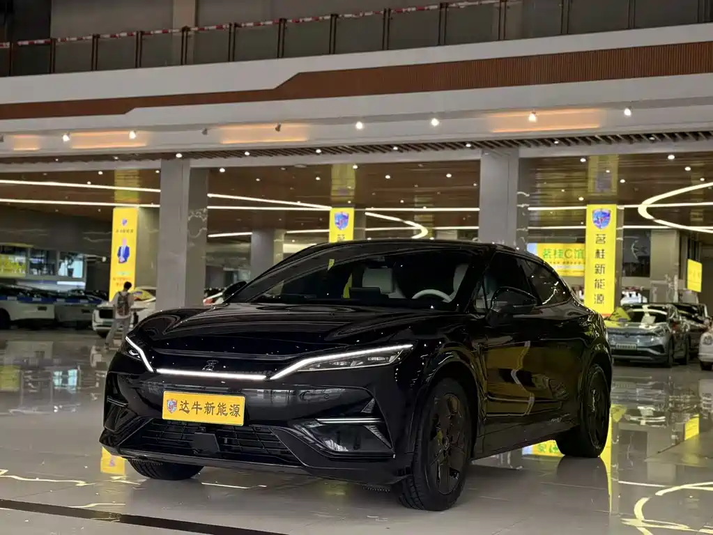 BYD L EV 2024