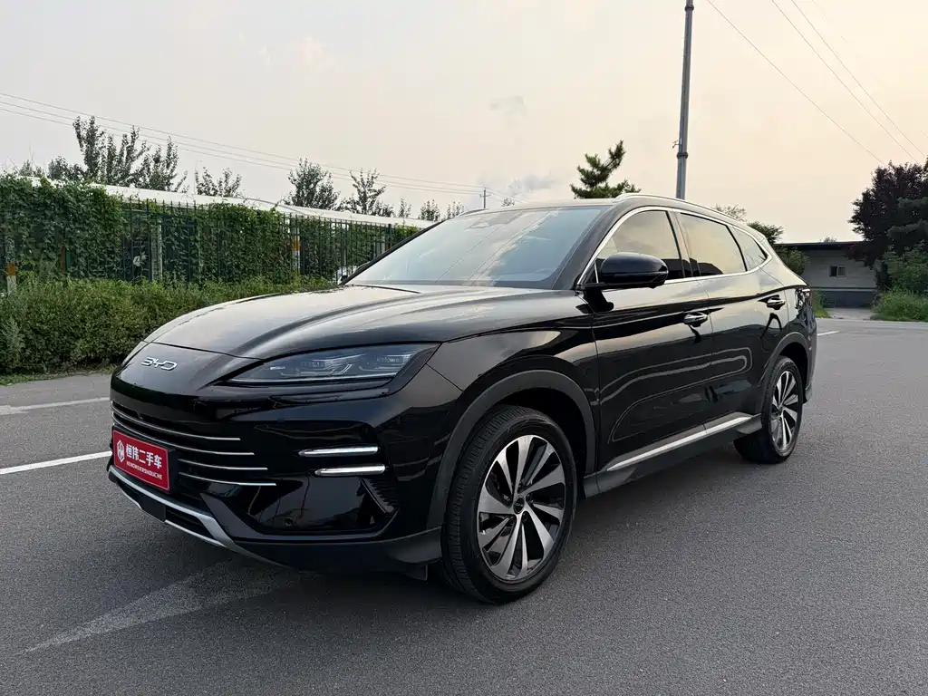 BYD PLUS New Energy 2024