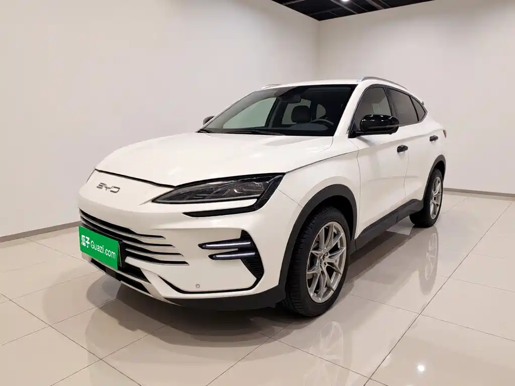 BYD PLUS New Energy 2024