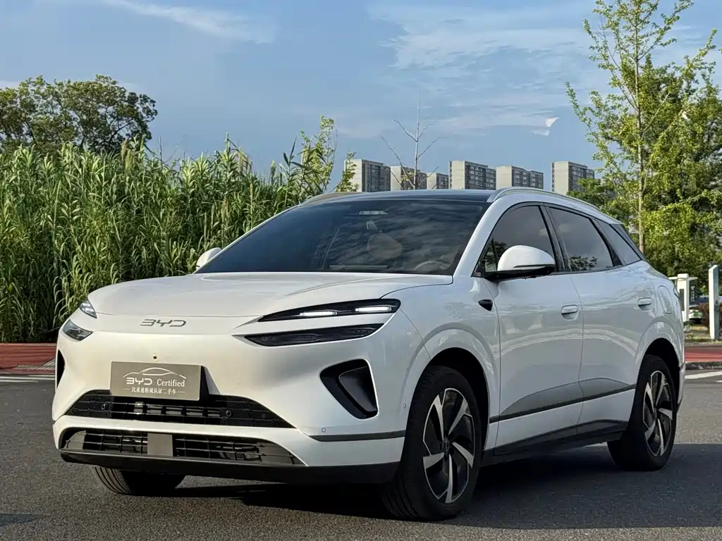 BYD 海狮06 2025