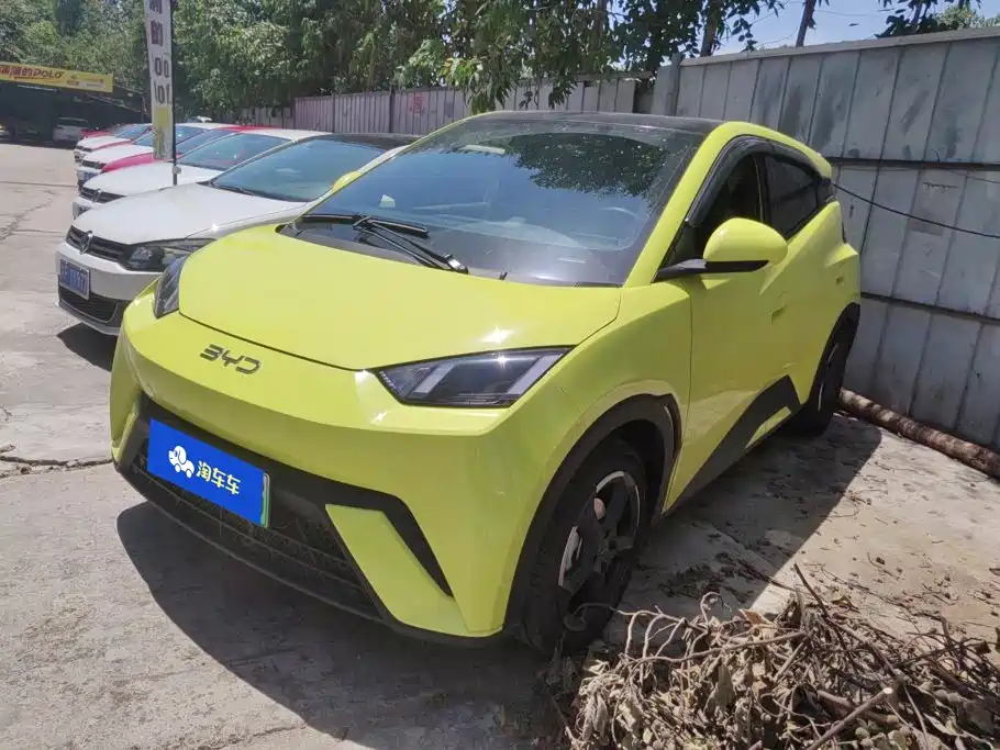 BYD Seagull 2024