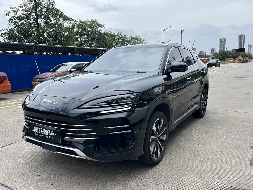 BYD PLUS New Energy 2024