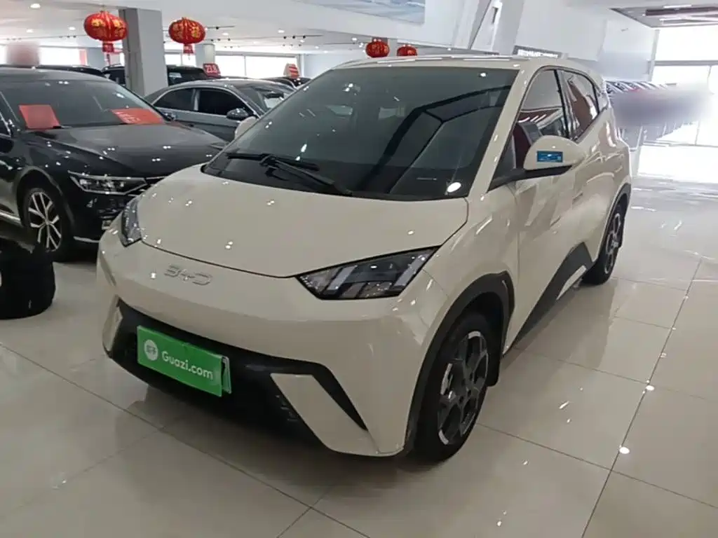 BYD Seagull 2024