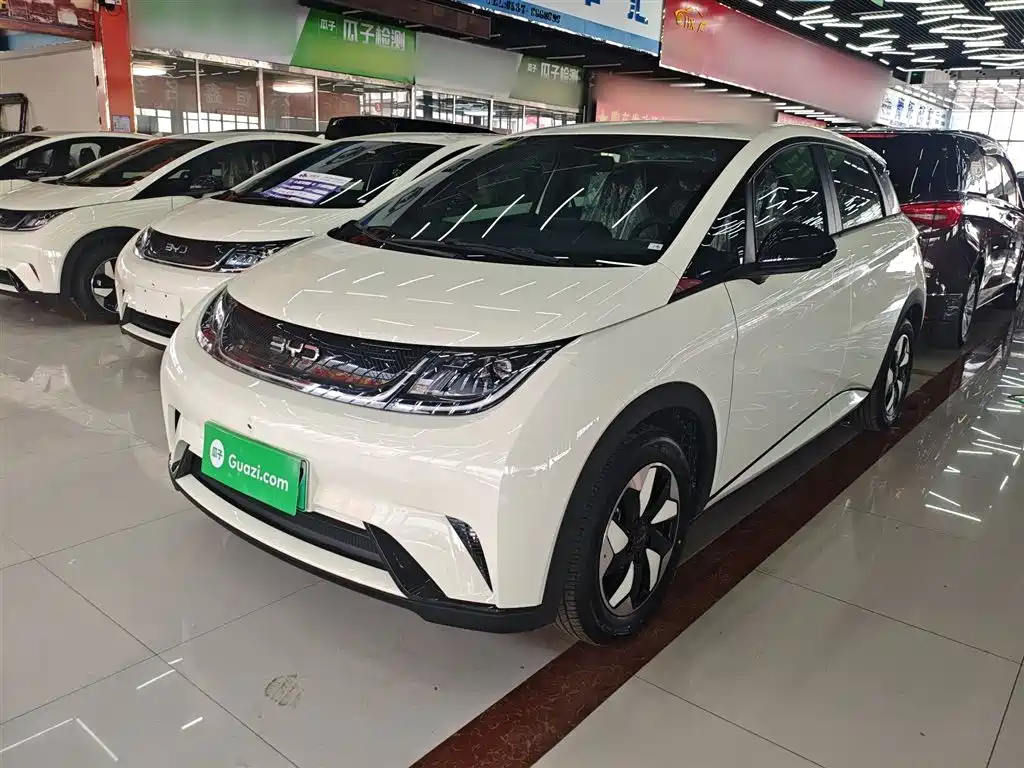 BYD Dolphin 2026