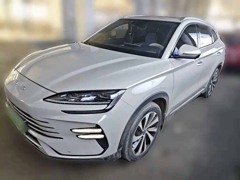 BYD PLUS New Energy 2024