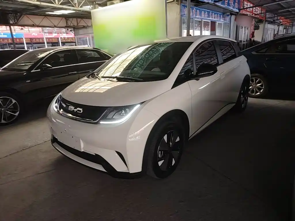 BYD Dolphin 2024