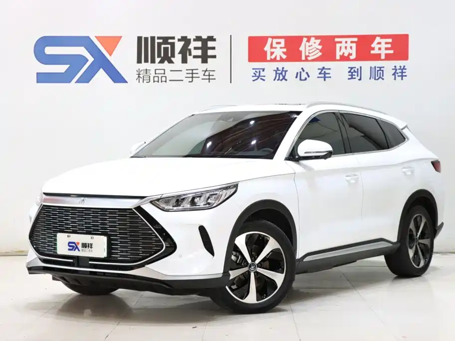 BYD PLUS New Energy 2022