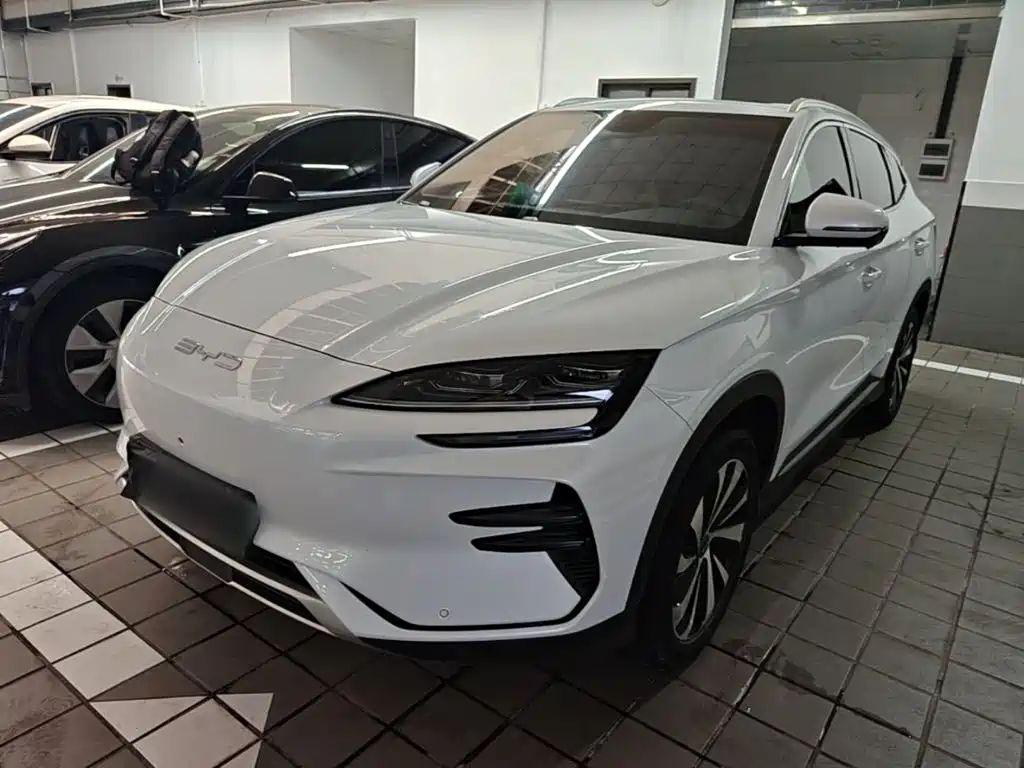 BYD PLUS New Energy 2024