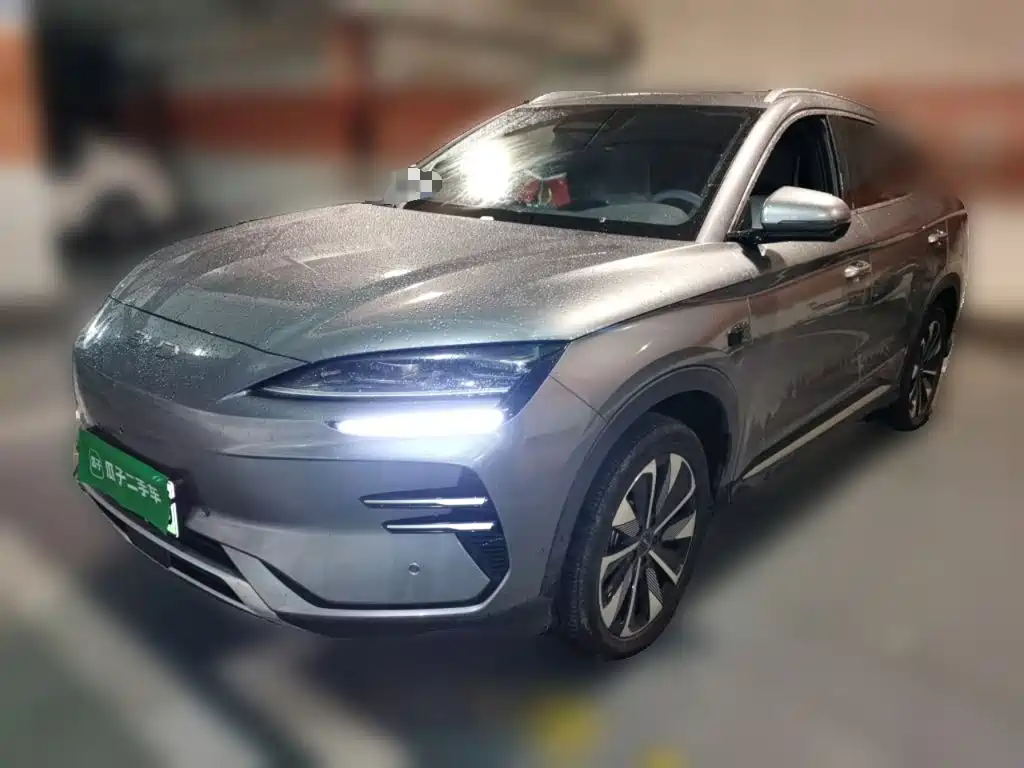 BYD PLUS New Energy 2025