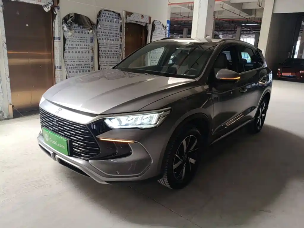 BYD Pro New Energy 2024