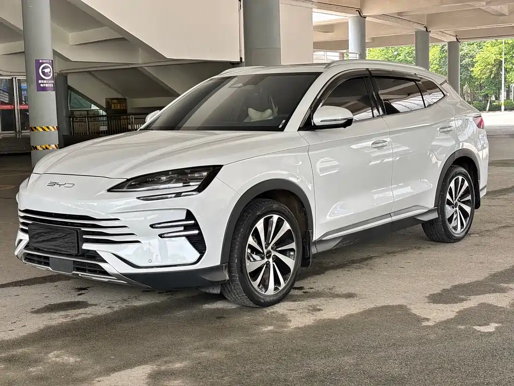 BYD PLUS New Energy 2024