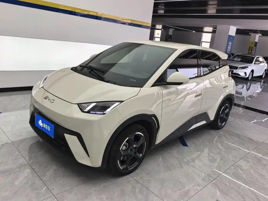 BYD Seagull 2024