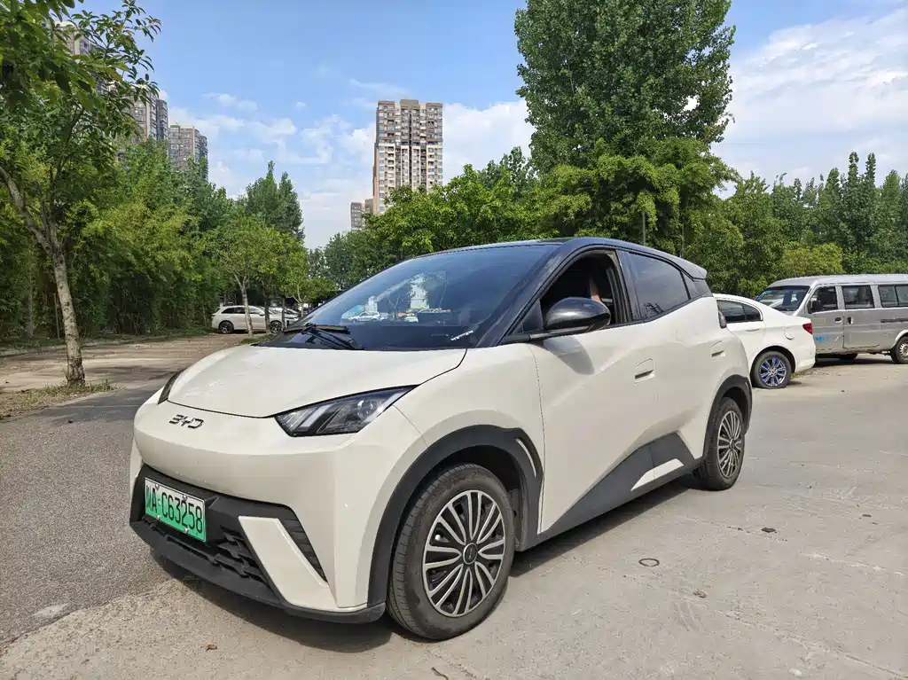 BYD Seagull 2025