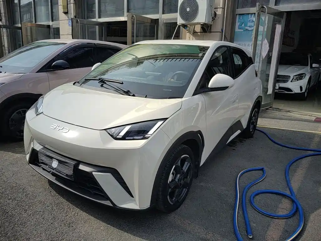 BYD Seagull 2024