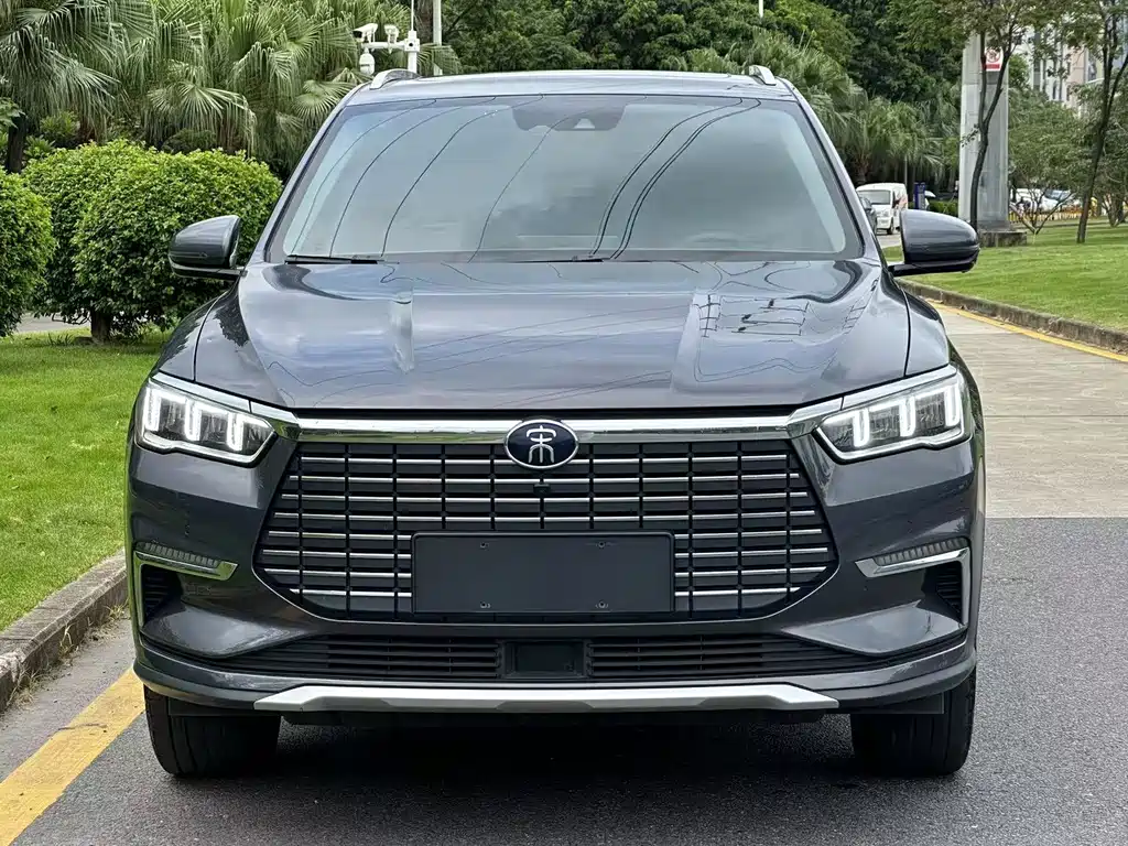 BYD Pro New Energy 2020