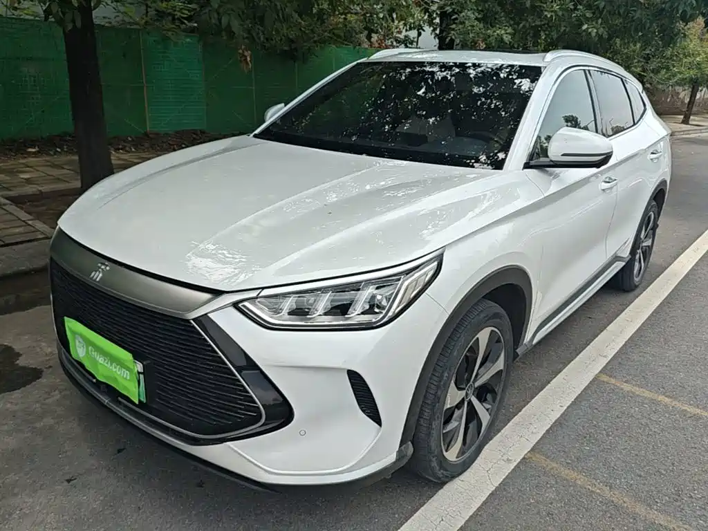 BYD PLUS New Energy 2021