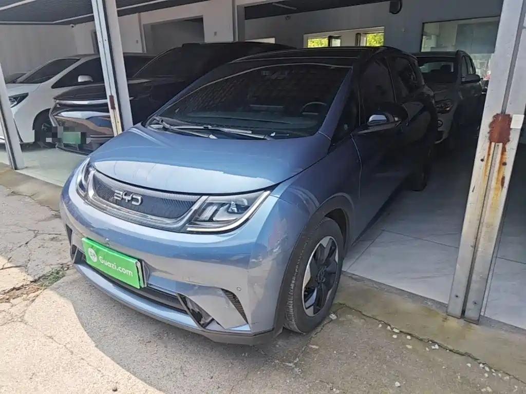 BYD Dolphin 2024