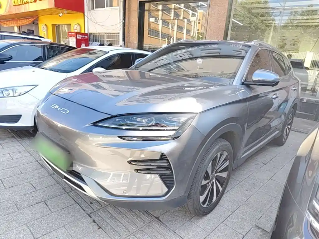 BYD PLUS New Energy 2024