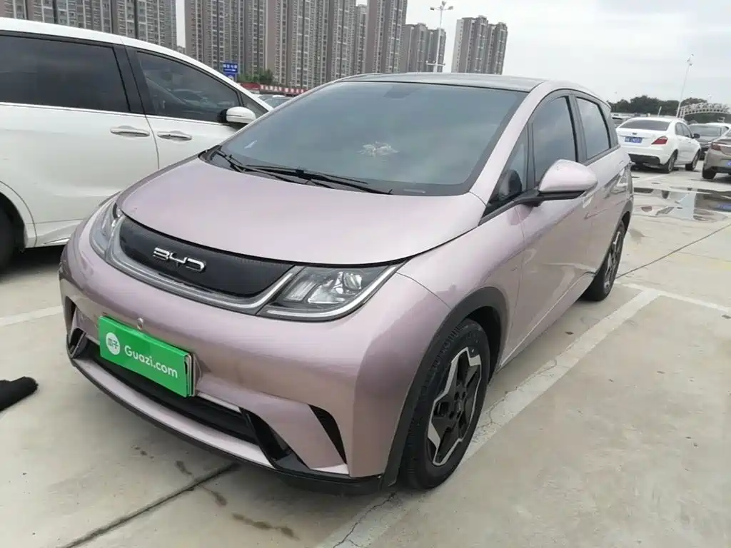 BYD Dolphin 2022