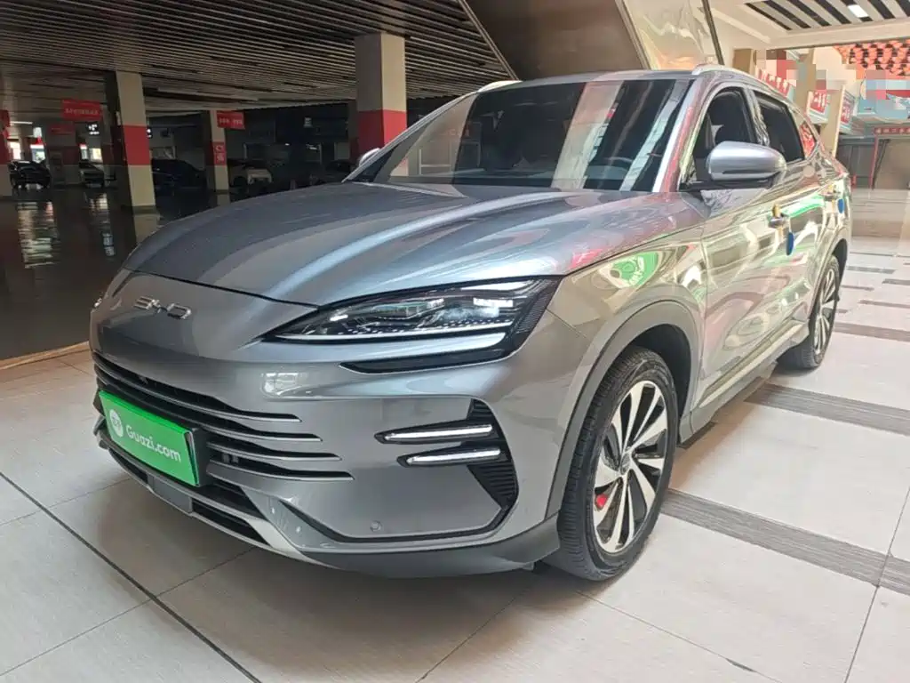 BYD PLUS New Energy 2024