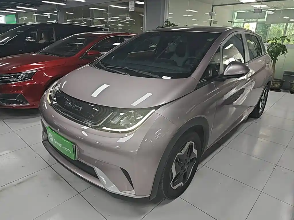 BYD Dolphin 2022