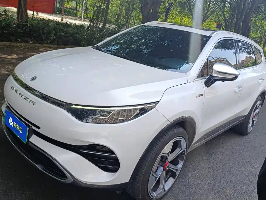 Denza Denza X 2021