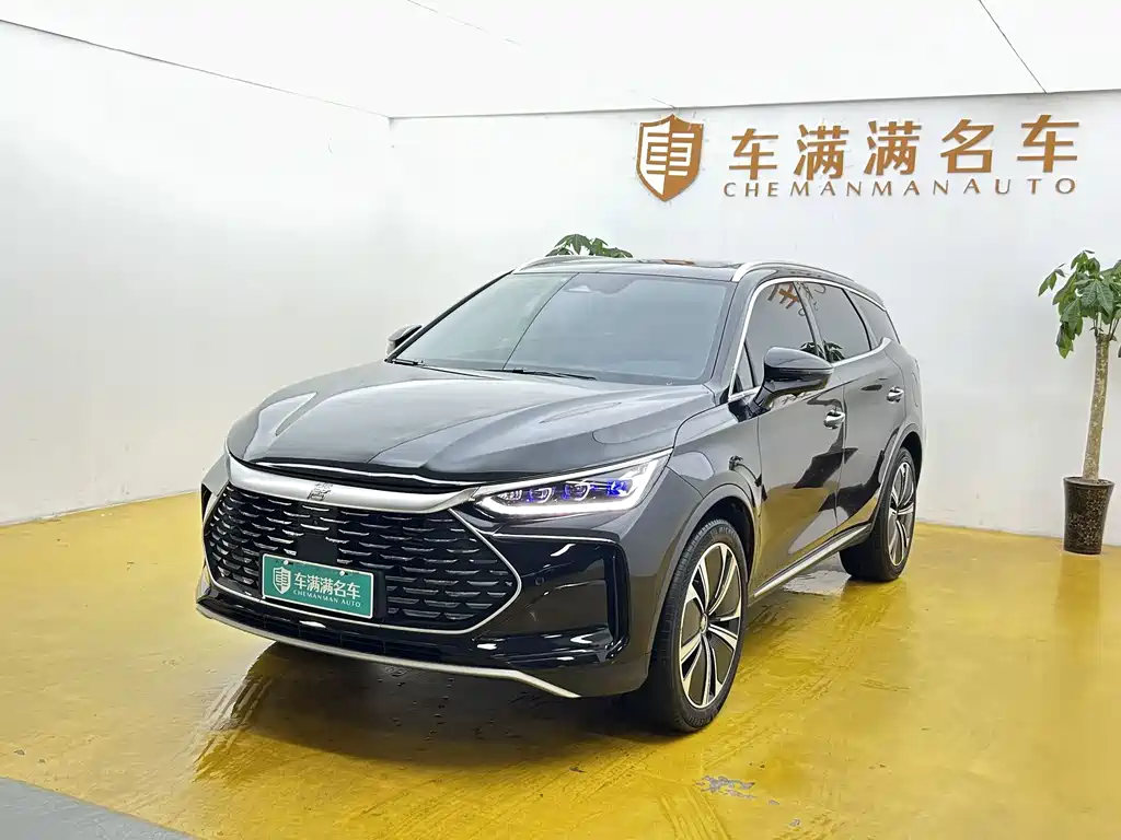 BYD Tang New Energy 2024
