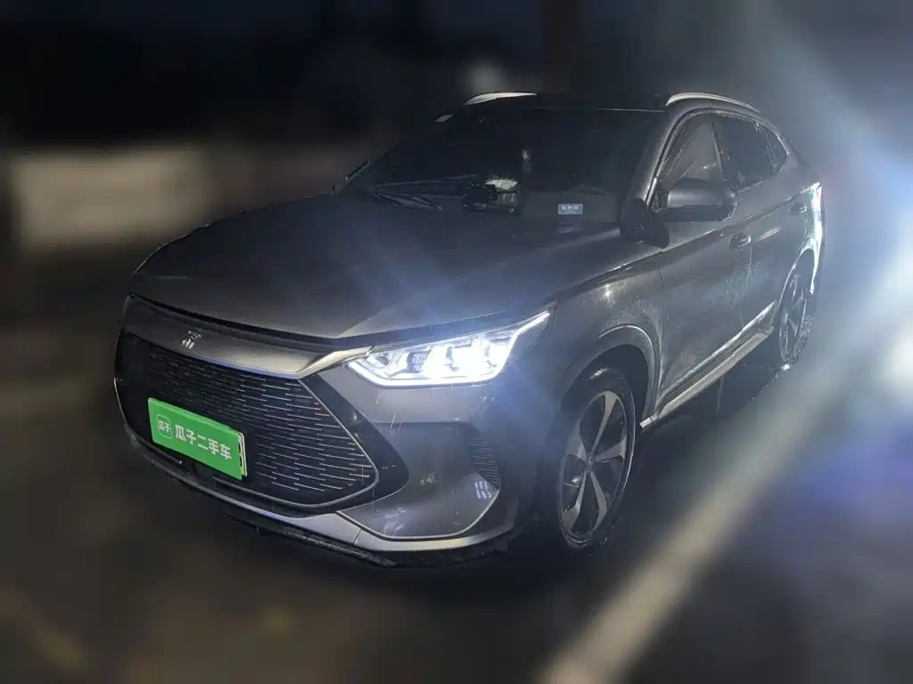 BYD PLUS New Energy 2021