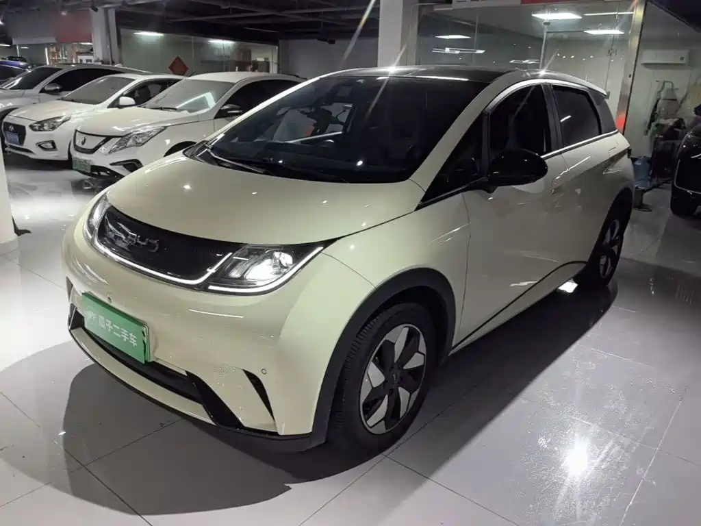 BYD Dolphin 2024