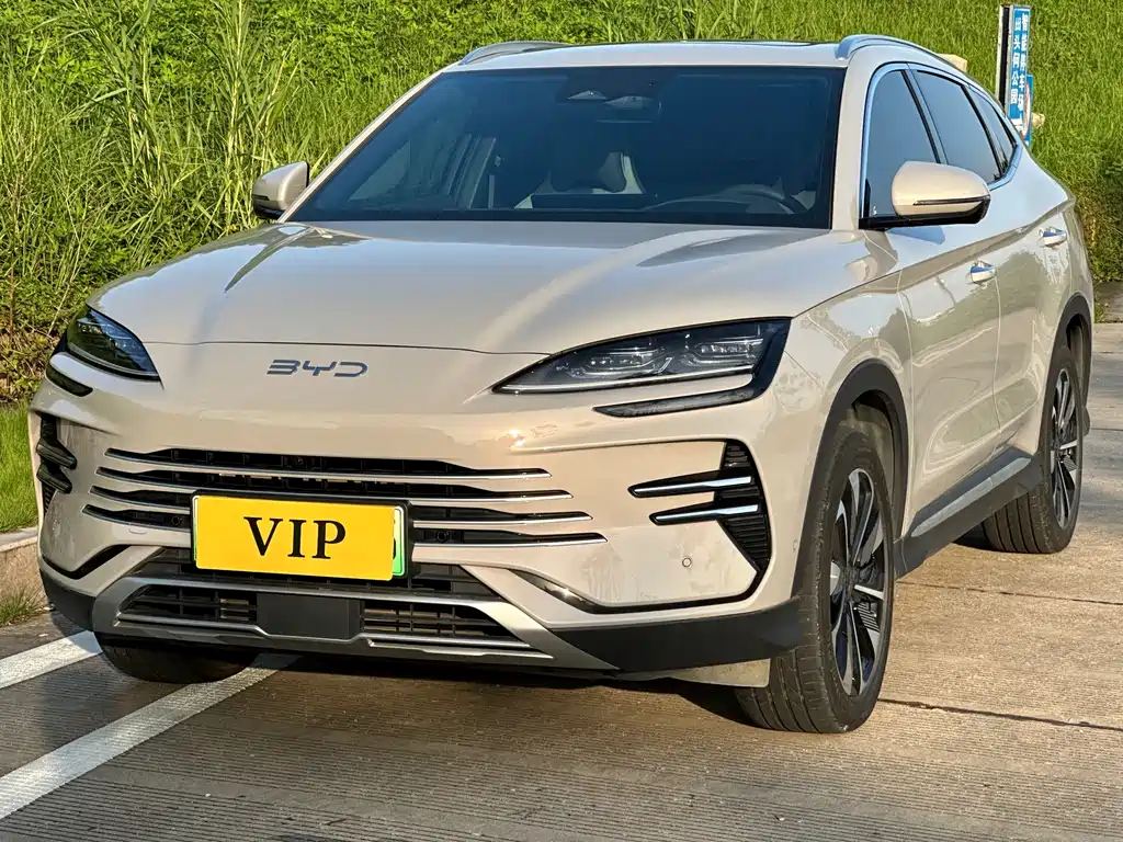 BYD PLUS New Energy 2024