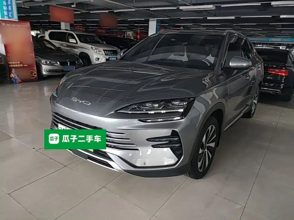 BYD PLUS New Energy 2024