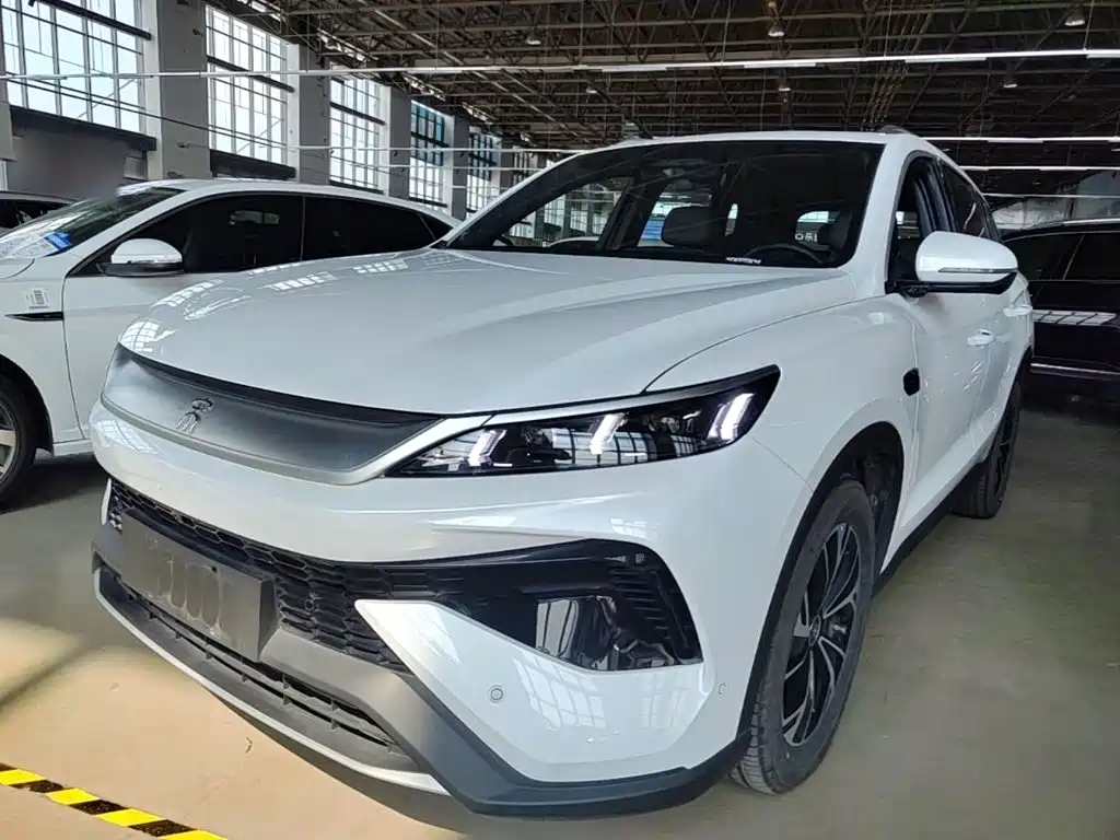 BYD Pro New Energy 2025