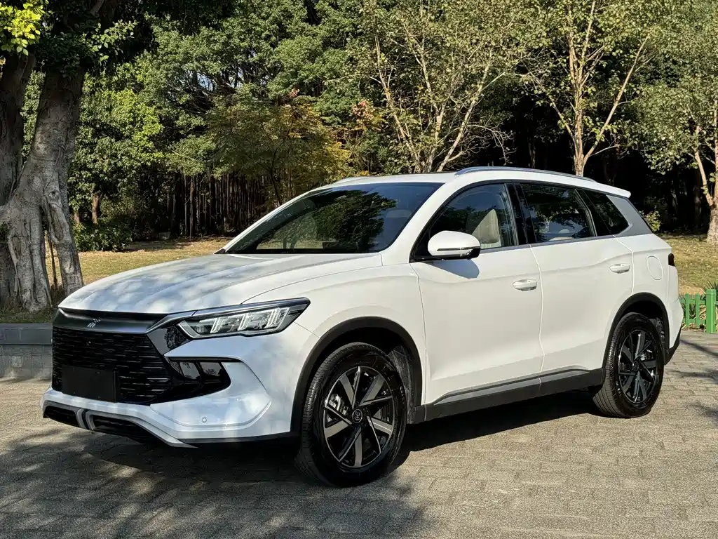 BYD Pro New Energy 2024