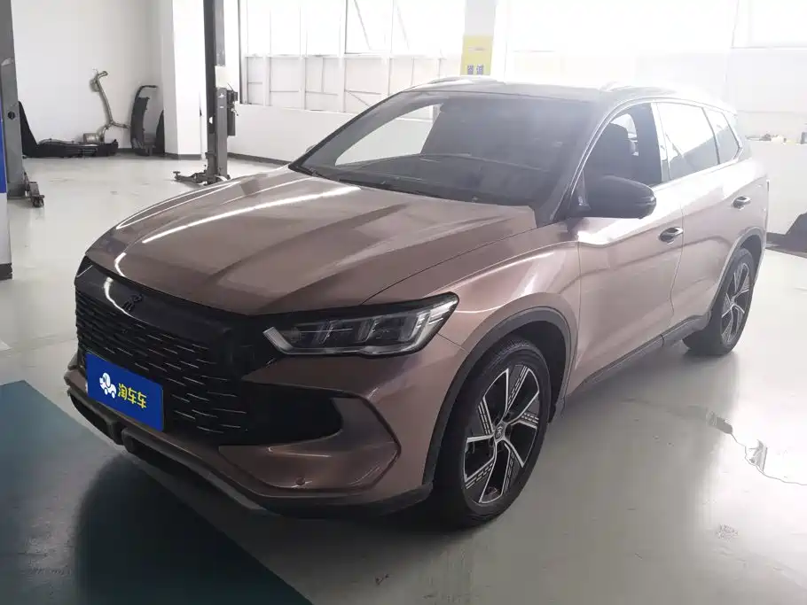 BYD Pro New Energy 2023