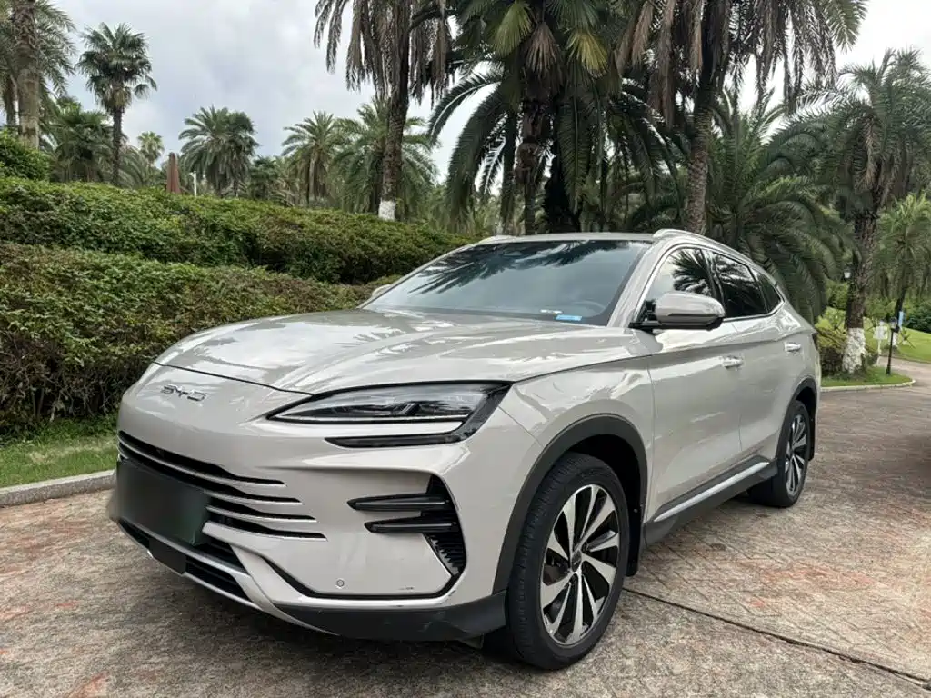 BYD PLUS New Energy 2023