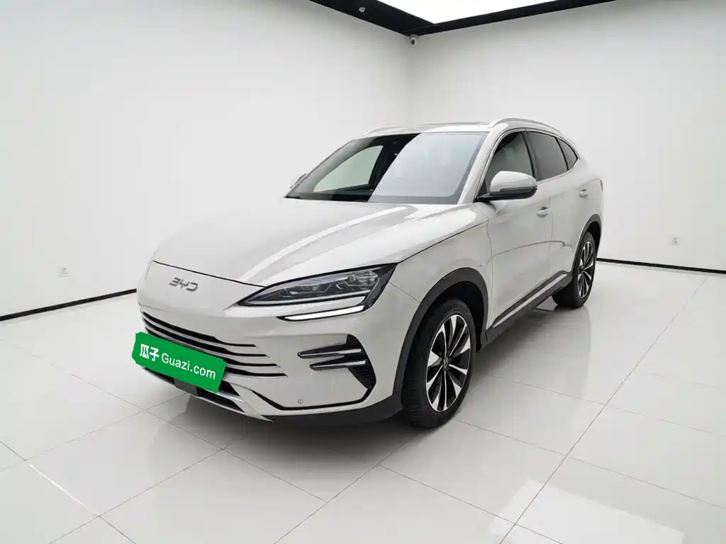 BYD PLUS New Energy 2024