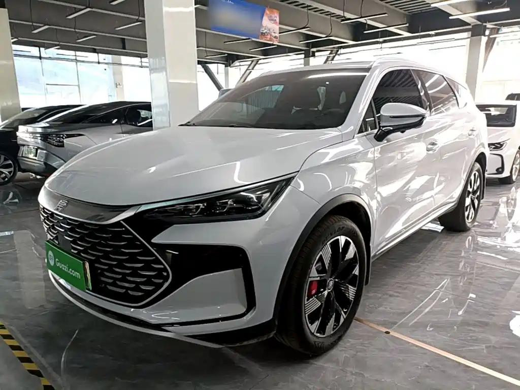 BYD Tang New Energy 2024