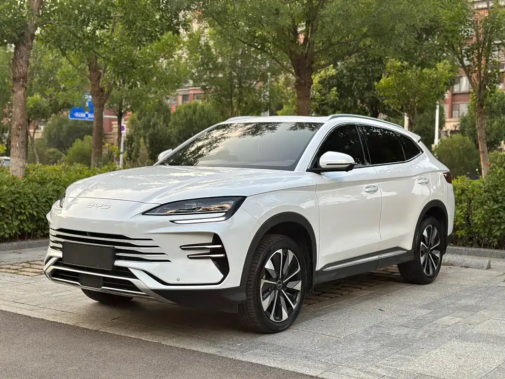 BYD PLUS New Energy 2025