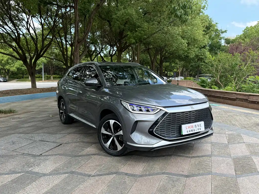 BYD PLUS New Energy 2021