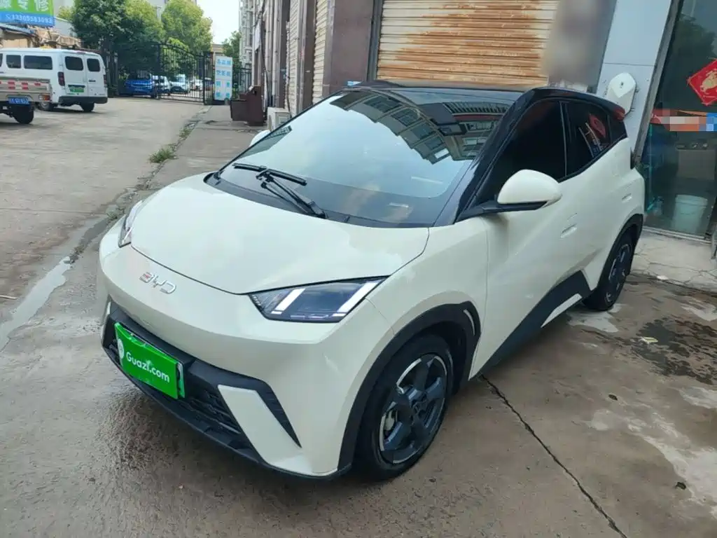 BYD Seagull 2024