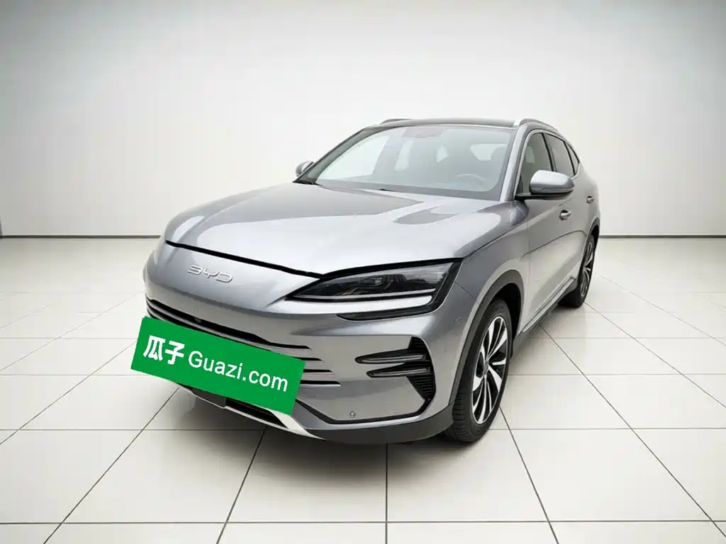 BYD PLUS New Energy 2024